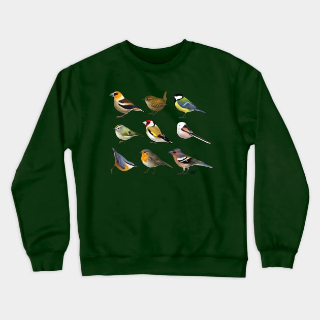 Year of the Bird II. Crewneck Sweatshirt by kataszep